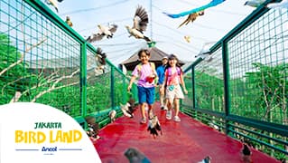 Jakarta Bird Land